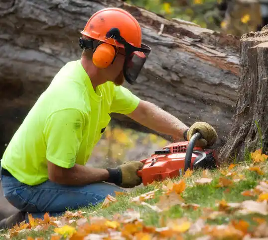 tree services Ramblewood